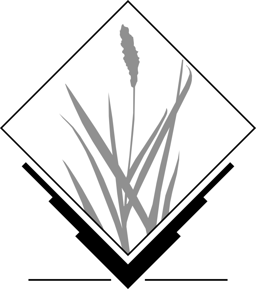 File:GRASSGIS logo gray.png