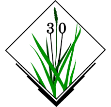Thumbnail for File:Grass-gis-30-birthday.png