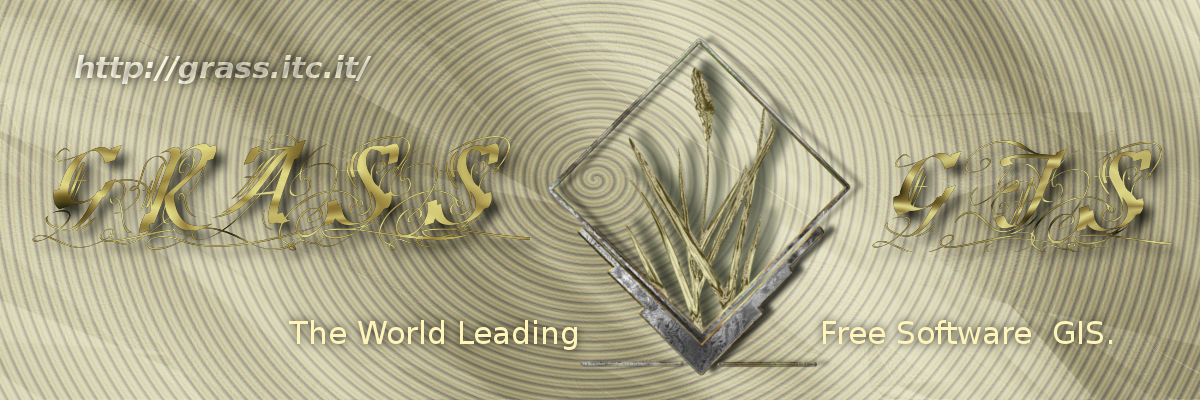 File:Grass banner gold3.png