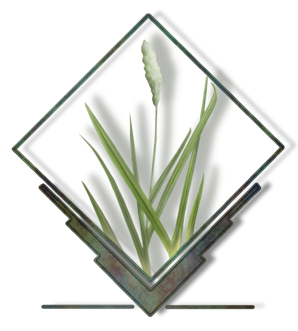 File:Grass logo green.png