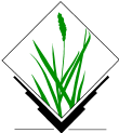 Thumbnail for File:Grasslogo vector small.png