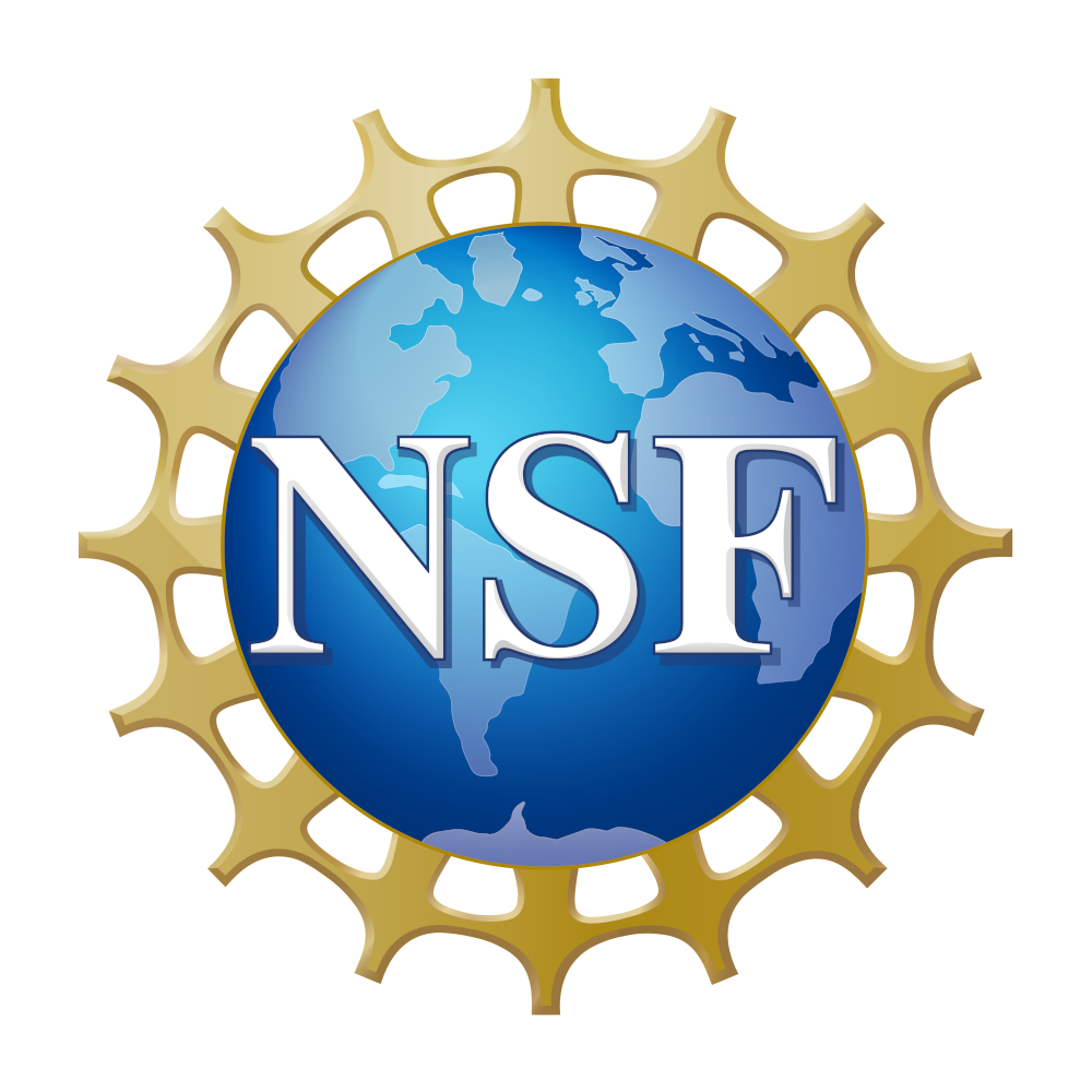 Logo of US NSF