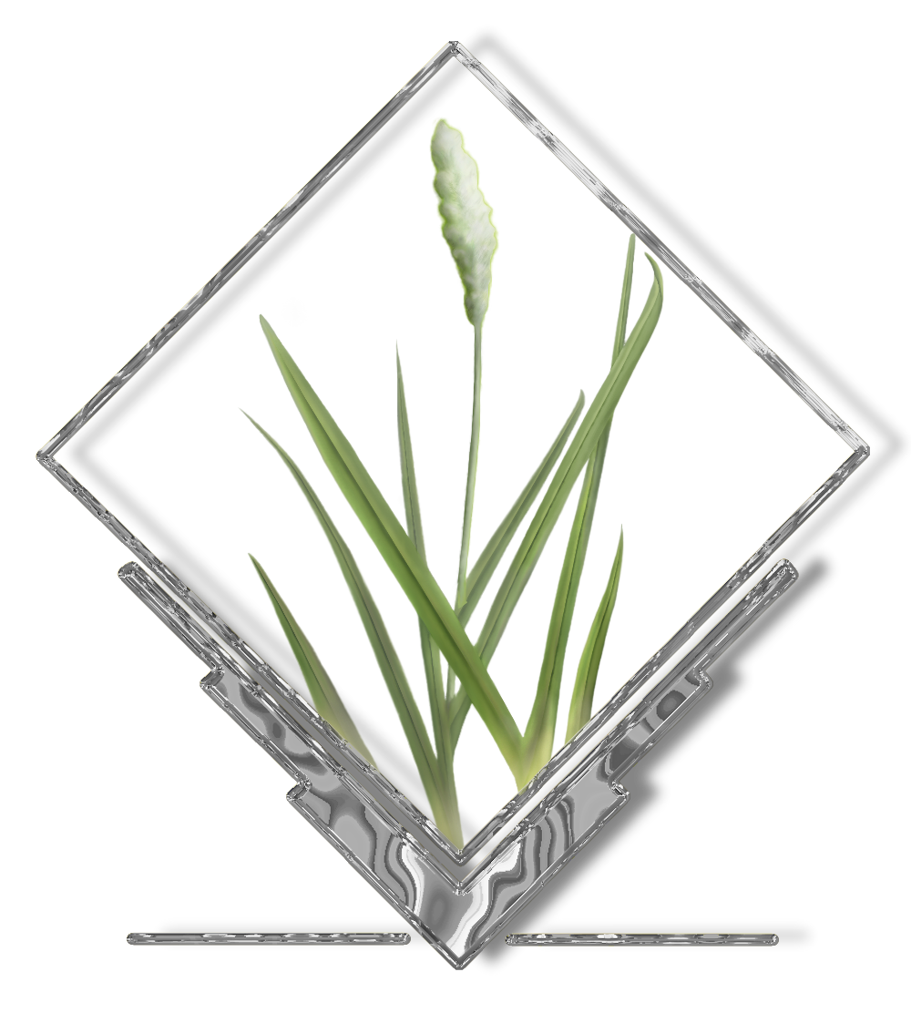 Grass logo chrome.png