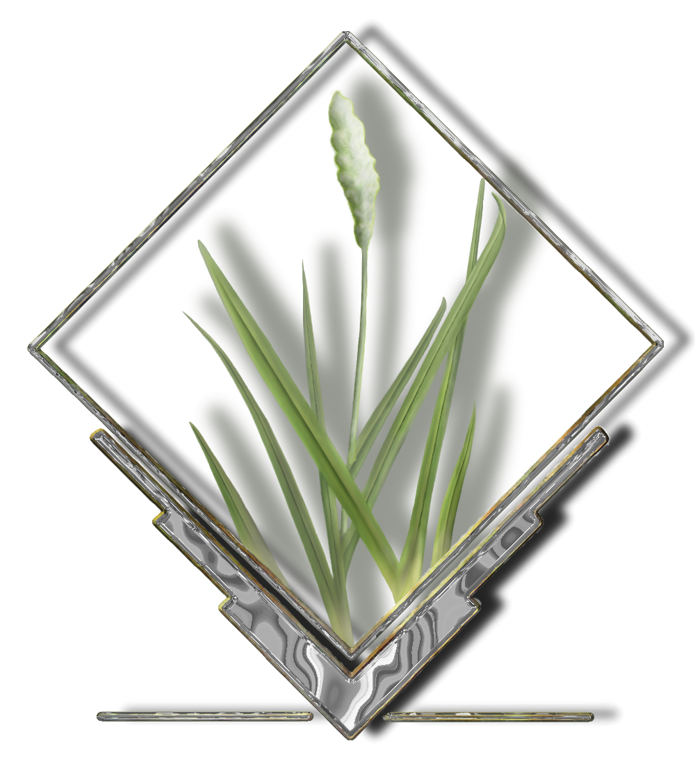 Grass logo combined chrome.png