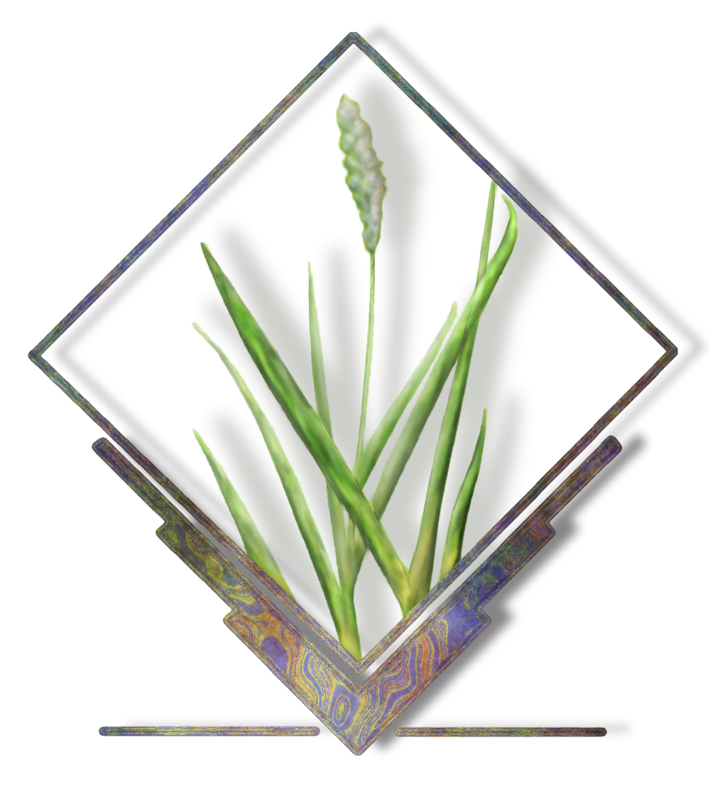 File:Grass logo mandrivia colors.png
