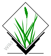 Alternative GRASS-Wiki logogram